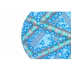 Biofinity Toric