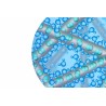 Biofinity Toric